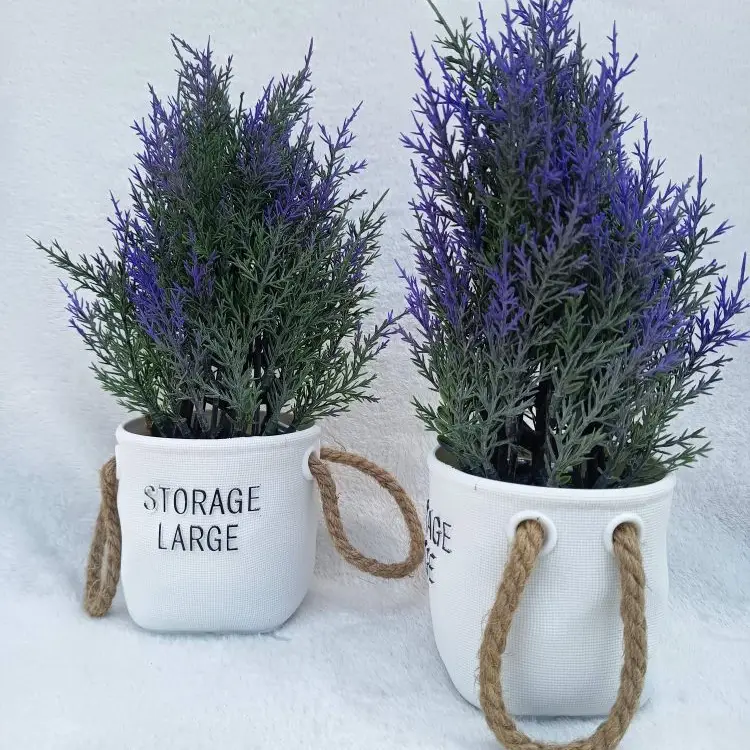 Maceta de Lavanda's photo #2