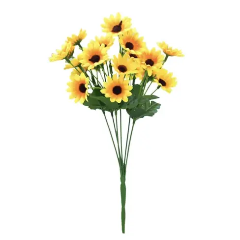 Combo tornasoleado's photo #2