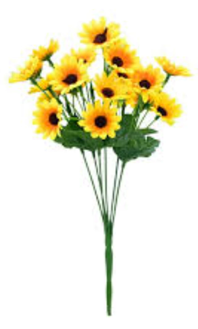 Ramo de girasoles's foto | CASAVIVA |  BizneCubano