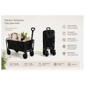 Carretón negro miniatura 1