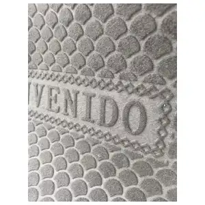 Alfombra de entrada 40x60 cm miniatura 4